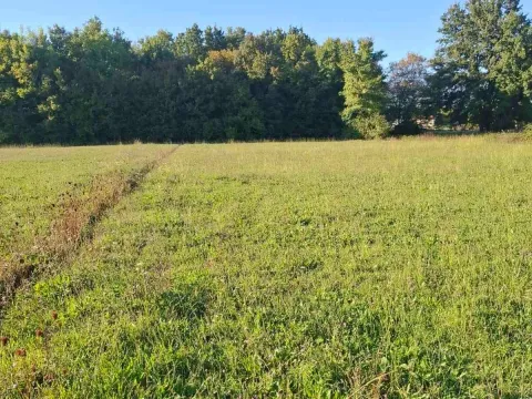 Prodaja, plac, 2881m², Begovina, Danilovgrad - image 3