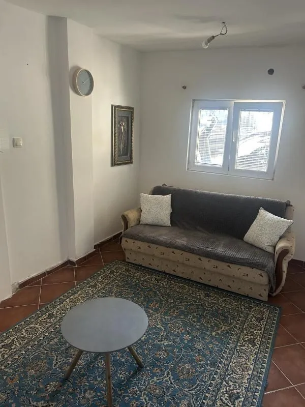 Small living room with a sofa, rug, and coffee table.