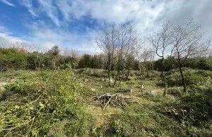 Sale, land lot, 2447m², Budva, Crna Gora
