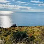 Prodaja, plac, 1500m², Sveti Stefan, Budva - image 5