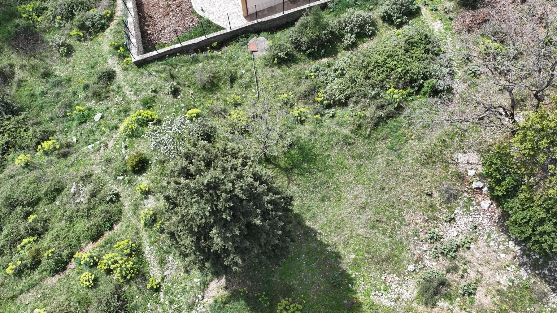 Prodaja, plac, 461m², Zankovići, Bar