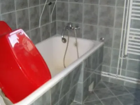 Prodaja, kuća, 200m², Crvene livade, Jagodina - image 7