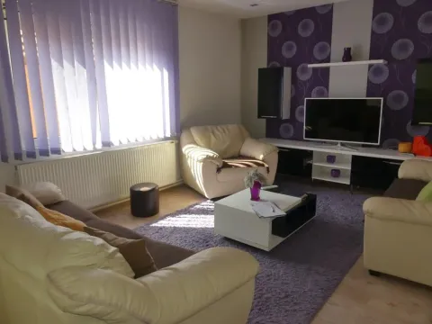 Prodaja, kuća, 450m², Levač, Jagodina - image 14