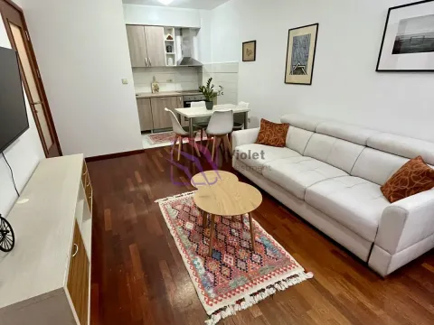 Izdavanje, jednosoban stan, 44m², Stari Aerodrom, Podgorica - image 6