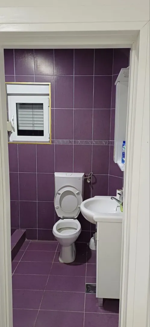 Small bathroom with purple wall tiles, toilet, and washbasin.