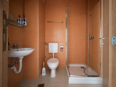 Manje kupatilo sa tuš kabinom, umivaonikom i toaletom u narandžastim pločicama. - image 6
