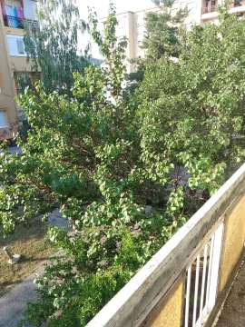 Pogled sa terase na zelene krošnje i okolne zgrade. - image 16