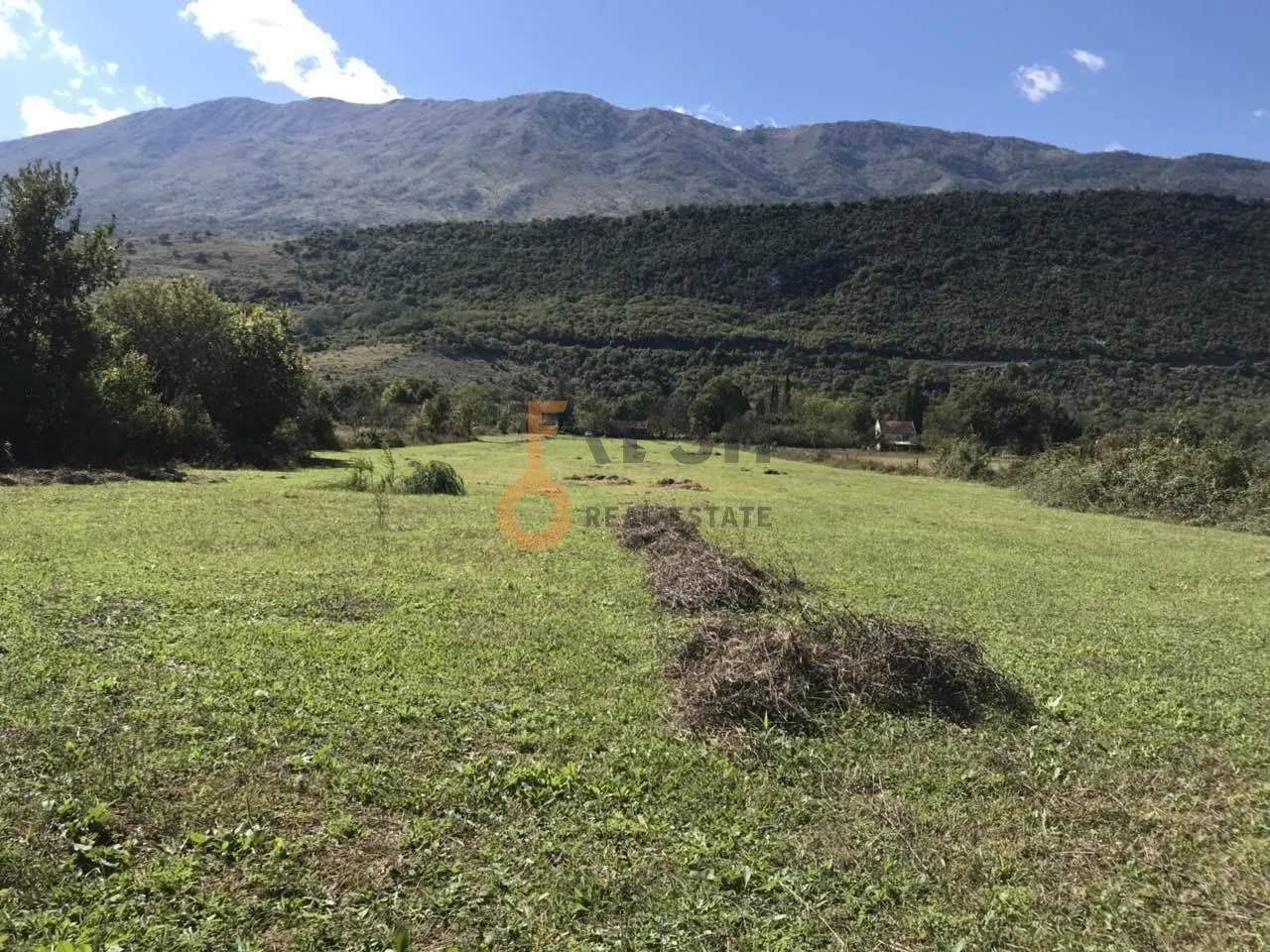 Prodaja, plac, 15000m², Danilovgrad, Crna Gora
