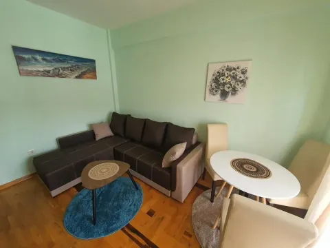 Izdavanje, jednosoban stan, 37m², Blok 6, Podgorica - image 13