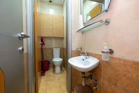 A bathroom with a sink, mirror, and toilet. - image 9