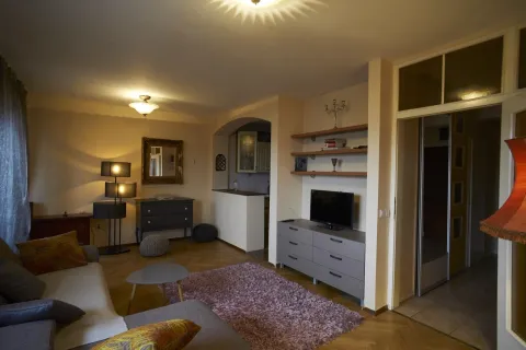 Udoban dnevni boravak sa sofom, televizorom i ukrasnim tepihom. - image 7