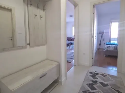 Izdavanje, jednosoban stan, 49m², Central Point, Podgorica - image 9