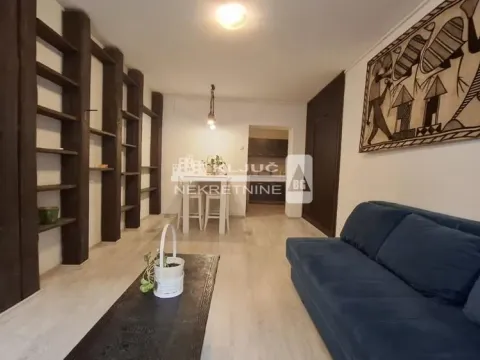 Izdavanje, jednosoban stan, 30m², Vračar Centar, Vračar Sve Podlokacije - image 5