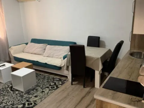 Izdavanje, jednosoban stan, 43m², Centar, Podgorica - image 6
