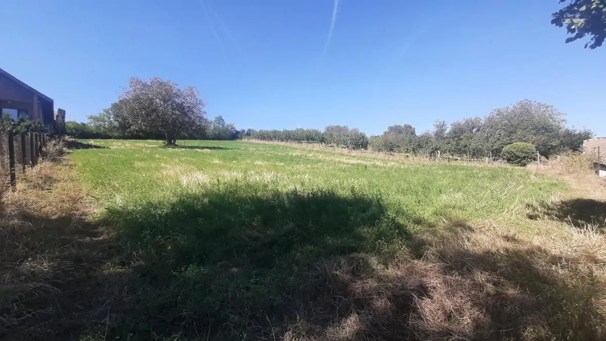 Sale, land lot, 2800m², Petrovaradin, Novi Sad