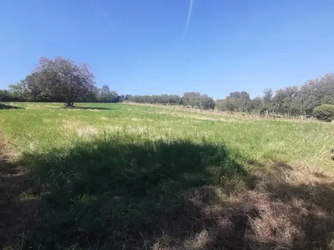 Prodaja, plac, 2800m², Petrovaradin, Novi Sad - image 1