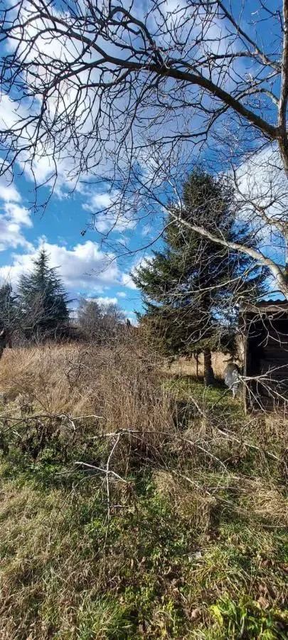 Prodaja, plac, 852m², Sremska Kamenica, Petrovaradin