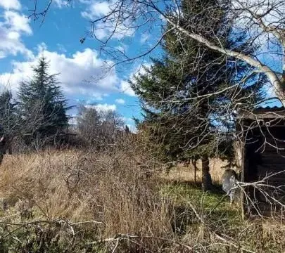 Prodaja, plac, 800m², Sremska Kamenica, Petrovaradin - image 6