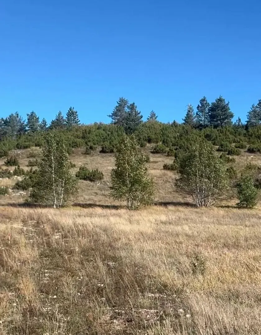Prodaja, plac, 1450m², Žabljak, Crna Gora