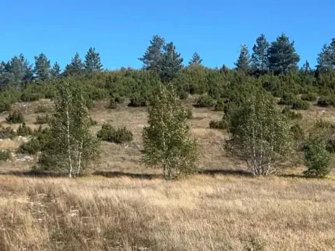 Sale, land lot, 1450m², Žabljak, Crna Gora - image 2