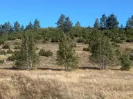 Sale, land lot, 1450m², Žabljak, Crna Gora - image 2