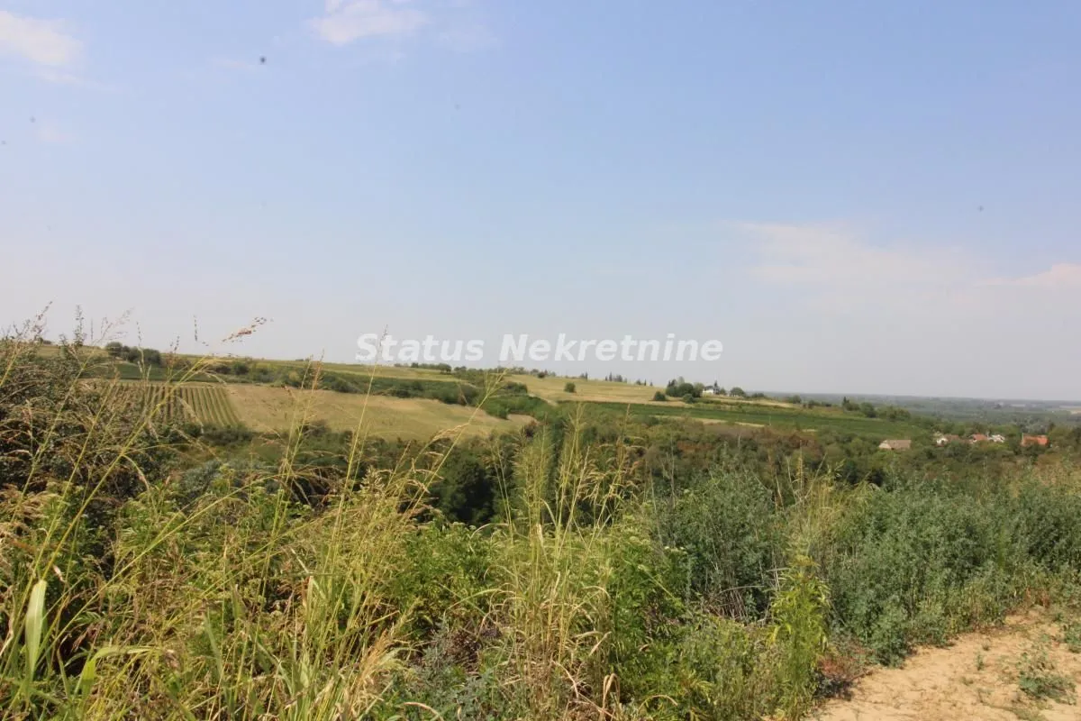 Prodaja, plac, 4502m², Beočin, Srbija