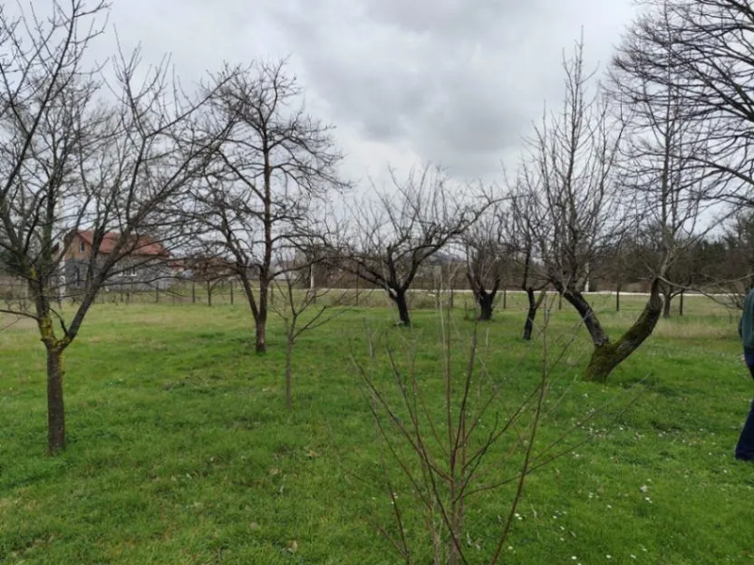 Prodaja, kuća, 74m², Donji Martinići, Danilovgrad