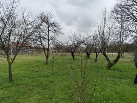 Sale, house, 74m², Donji Martinići, Danilovgrad - image 11