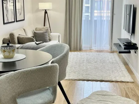 Izdavanje, jednosoban stan, 40m², Central Point, Podgorica - image 7