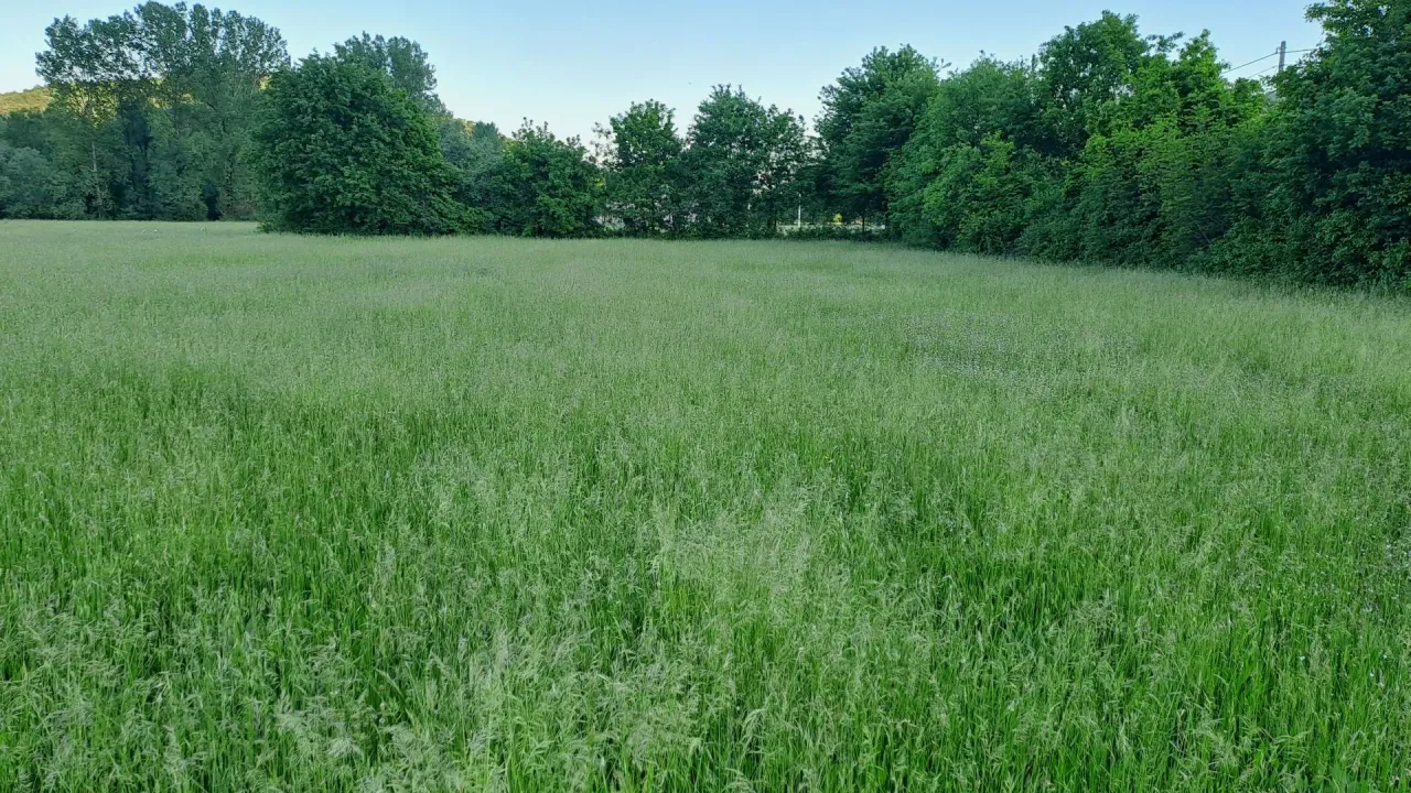 Prodaja, plac, 1000m², Danilovgrad, Crna Gora