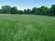 Prodaja, plac, 1000m², Danilovgrad, Crna Gora - image 1