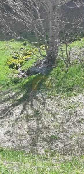 Prodaja, plac, 6692m², Kolašin, Crna Gora