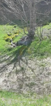 Prodaja, plac, 6692m², Kolašin, Crna Gora - image 5