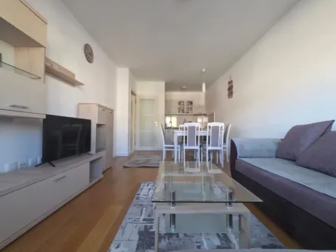 Rent, one bedroom apartment, 49m², Central Point, Podgorica - image 1