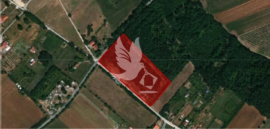 Prodaja, plac, 13500m², Mladenovac, Beograd