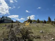 Prodaja, plac, 463m², Razvršje, Žabljak - image 6