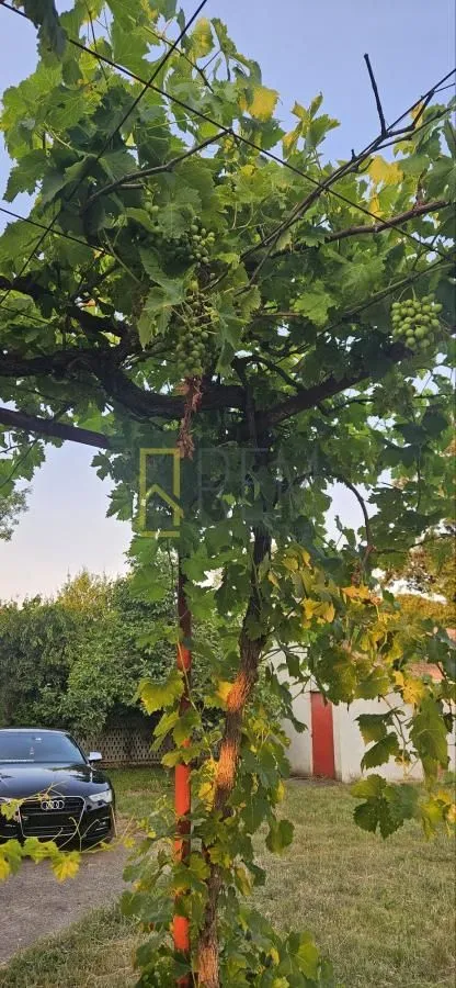 Prodaja, kuća, 220m², Martinići, Danilovgrad