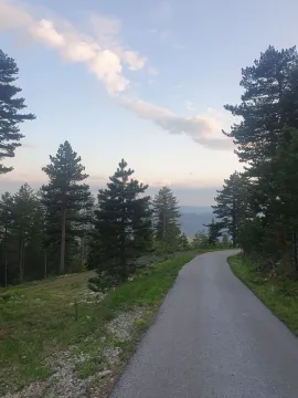 Prodaja, plac, 1130m², Centar, Zlatibor - image 7
