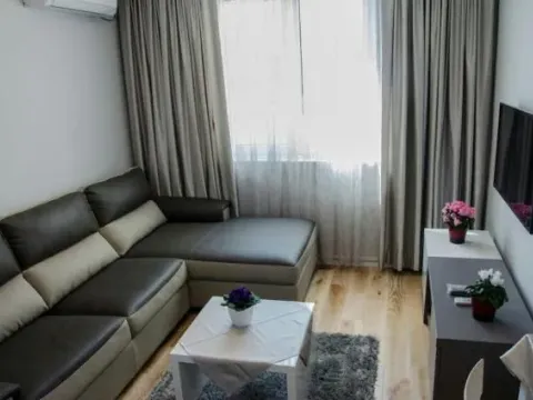 Izdavanje, jednosoban stan, 40m², Centar, Podgorica - image 10