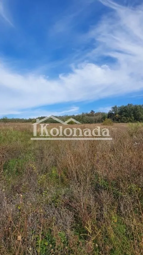 Prodaja, plac, 10500m², Parcani, Sopot