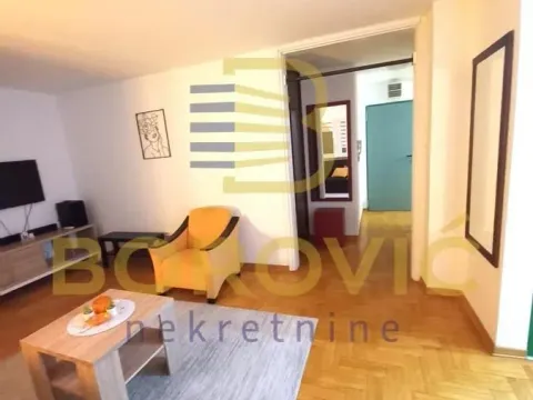 Izdavanje, dvosoban stan, 56m², Novi Beograd Blok 45, Novi Beograd Sve Podlokacije - image 3