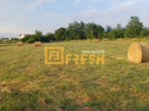 Prodaja, plac, 7400m², Zeta, Podgorica - image 1