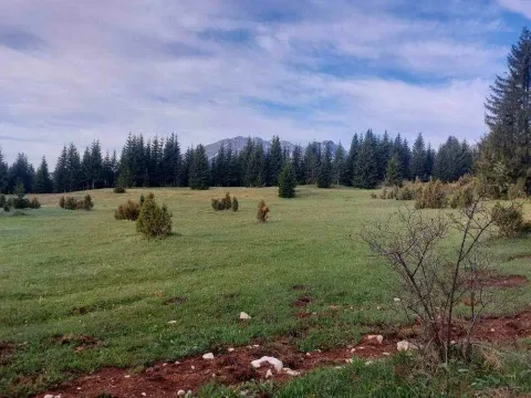 Prodaja, plac, 17500m², Žabljak, Crna Gora - image 4