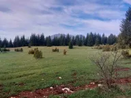 Prodaja, plac, 17500m², Žabljak, Crna Gora - image 4