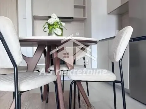 Izdavanje, dvosoban stan, 55m², Savski Venac, Beograd - image 4