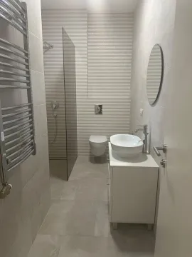 Modern bathroom with a walk-in shower, washbasin, and toilet. - image 7
