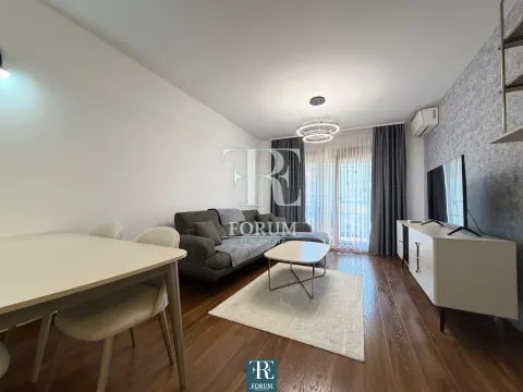 Rent, one bedroom apartment, 50m², Master Kvart, Podgorica - image 2