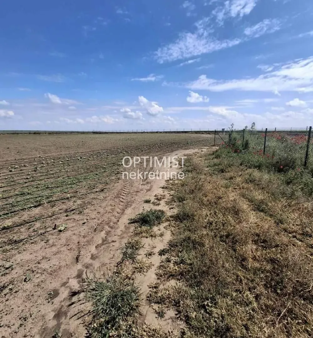 Prodaja, plac, 15000m², Belegiš, Stara Pazova