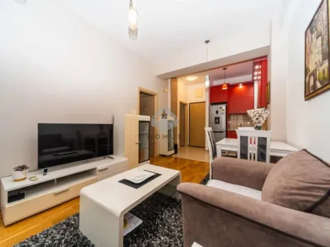 Izdavanje, jednosoban stan, 42m², Ljubović, Podgorica - image 4