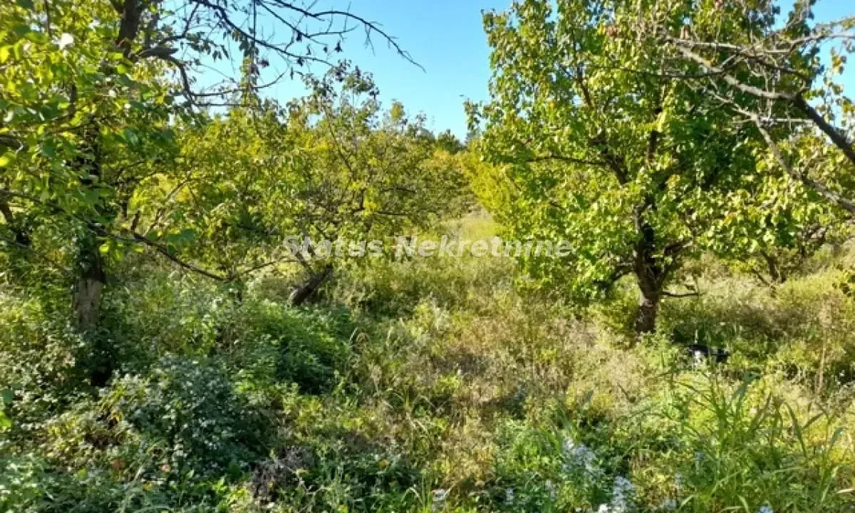 Prodaja, plac, 118m², Ledinci, Petrovaradin